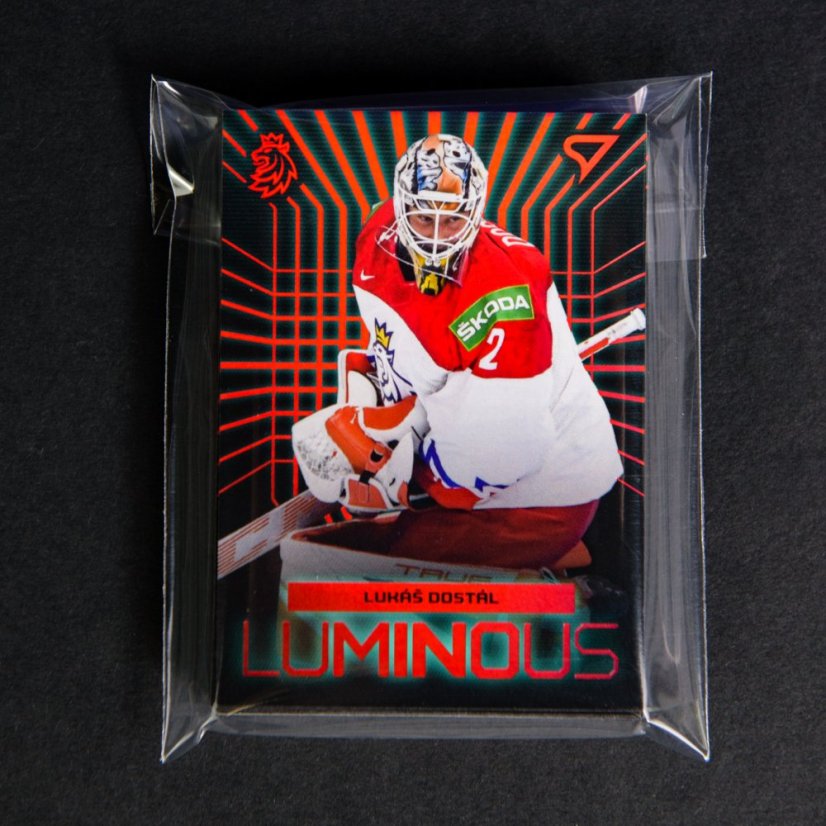 100 Team Bag - sáčky na kartičky