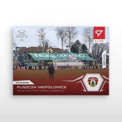 L-53 SADA Puszcza Niepolomice PKO BP Ekstraklasa 2024/25 LIVE + HOLDER