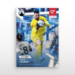 L-49 Tomáš Koubek Chance Liga 2024/25 LIVE
