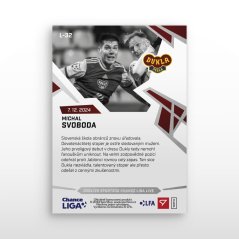 L-32 Michal Svoboda Chance Liga 2024/25 LIVE
