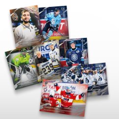 Discount bundle of 26 hockey trading cards Tipsport liga - SportZoo Tipsport liga 2025/26 LIVE