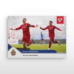 L-35 ZESTAW Ángel Rodado Betclic 1 Liga 2024/25 LIVE + UCHWYT