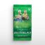 Hobby pack - Football Trading Cards SportZoo PKO BP Ekstraklasa 2025/26 - Series 2