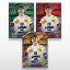 Karta hokejowa L-54 Nathan Borradori - SportZoo National League 2025/26 LIVE