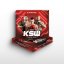 Blaster box - MMA kartičky SportZoo KSW 2026