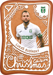 CH-16 Lukáš Budínský Christmas Edition 2023