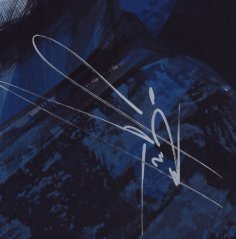 Podpísaný portrét Slovenskí Sokoli 2021 x/4 - Peter Pekarík
