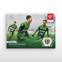 L-58 SADA Petr Schwarz PKO BP Ekstraklasa 2024/25 LIVE + HOLDER