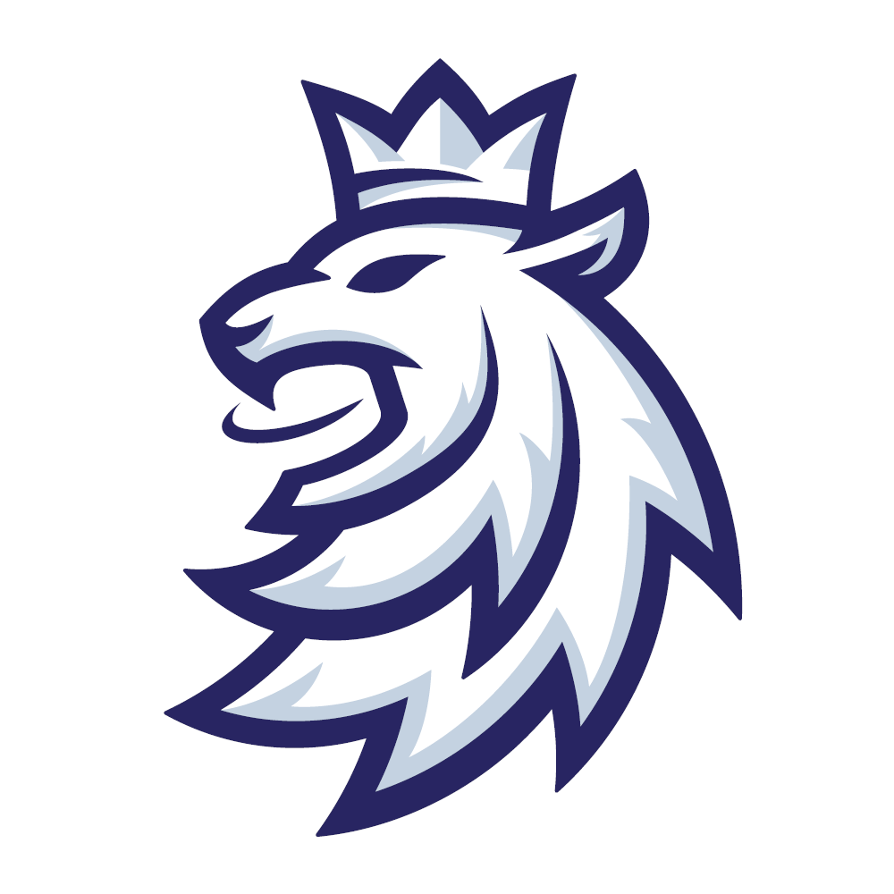 Hokejové Česko - In stock