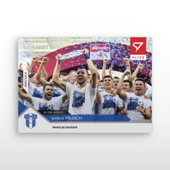 L-57 Wisła Płock Betclic 1 Liga 2024/25 LIVE + HOLDER