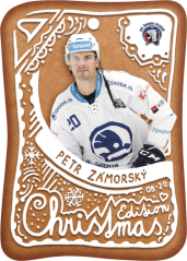CH-12 Petr Zámorský Christmas Edition 2023