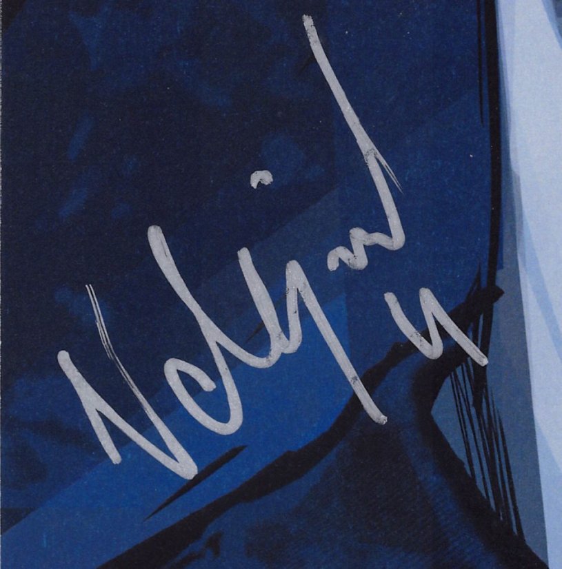 Podepsaný portrét Slovenskí Sokoli 2021 x/4 - Martin Valjent