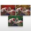 MMA-samlarkort L-11 Damian Piwowarczyk – SportZoo KSW 2025/26 LIVE