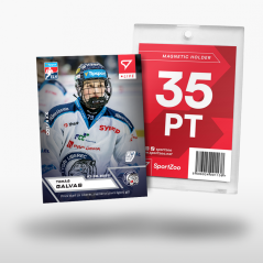 L-08 ZESTAW Tomáš Galvas TELH 2023/24 LIVE + UCHWYT