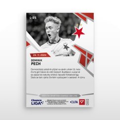 L-25 Dominik Pech Chance Liga 2024/25 LIVE