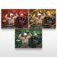 MMA-samlarkort L-09 Adrian Bartosiński – SportZoo KSW 2025/26 LIVE