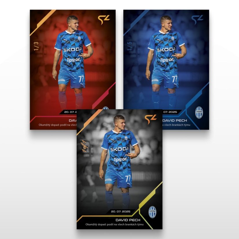 Fotbalová kartička L-03 DAVID PECH - SportZoo Chance Liga 2025/26 LIVE