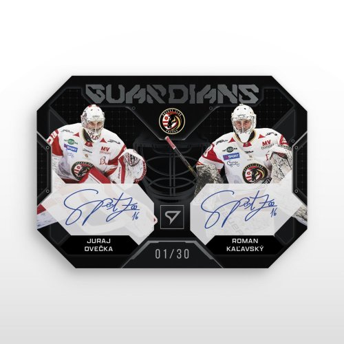 Case 6 Hobby boxov Tipos SHL 2024/25