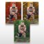 MMA-samlarkort L-16 Piotr Kuberski – SportZoo KSW 2025/26 LIVE