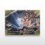 MMA-samlarkort L-05 Vitalii Yakymenko – SportZoo KSW 2025/26 LIVE