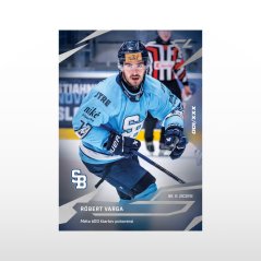 Hockey trading card L-16 RÓBERT VARGA - SportZoo Tipsport liga 2025/26 LIVE
