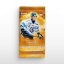 Blaster pack - Hockey Trading Cards SportZoo Tipsport ELH 2025/26 - Series 2