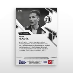 L-42 Peter Pekarík Chance Liga 2024/25 LIVE