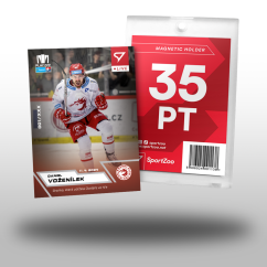 L-81 SADA Daniel Voženílek TELH 2023/24 LIVE + HOLDER