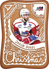 CH-11 Jakub Sukeľ Christmas Edition 2023