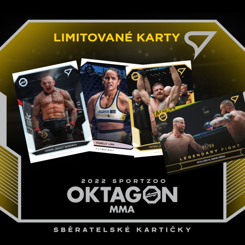 Case 6 Blaster boxov Oktagon MMA 2022