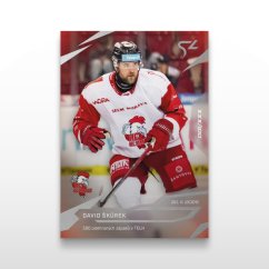 Hokejová kartička L-16 David Škůrek - SportZoo Tipsport ELH 2025/26 LIVE