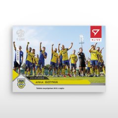 L-17 SADA Arka Gdynia Betclic 1 Liga 2024/25 LIVE + HOLDER