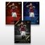 Football trading card L-04 LUKÁŠ HARASLÍN - SportZoo Chance Liga 2025/26 LIVE