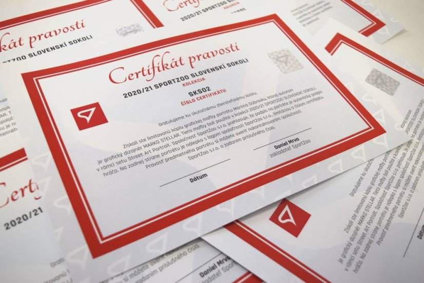 Podpísaný portrét Slovenskí Sokoli 2021 x/4 - Róbert Boženík