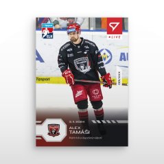 L-42 Alex Tamáši TELH 2024/25 LIVE